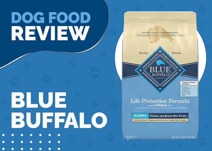 The Best Nutrition for Your Puppy's Growth & Development with Blue Buffalo Life Protection Formula Puppy Chicken and Brown Rice