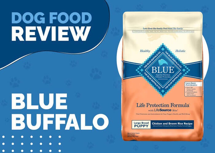 The Best Nutrition for Your Growing Puppy - Blue Buffalo Life Protection Formula Puppy Large Breed Chicken and Brown Rice Recipe Dry Dog Food