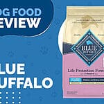 The Best Nutrition for Your Growing Puppy – Blue Buffalo Life Protection Formula Puppy Large Breed Chicken and Brown Rice Recipe Dry Dog Food