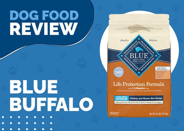 Support Your Large Senior Dog's Wellbeing with Blue Buffalo Life Protection Formula Senior Large Breed Chicken and Brown Rice Recipe
