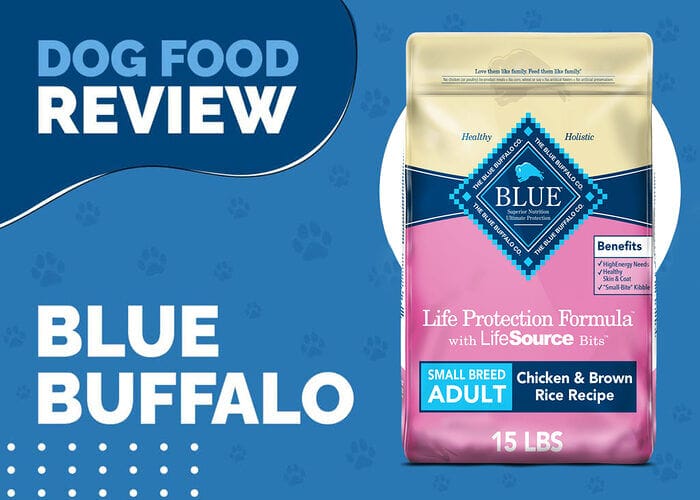 Buffalo Life Protection Formula Adult Small Breed Chicken and Brown Rice
