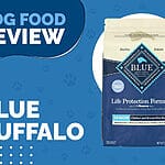 Support Your Large Senior Dog’s Wellbeing with Blue Buffalo Life Protection Formula Senior Large Breed Chicken and Brown Rice Recipe