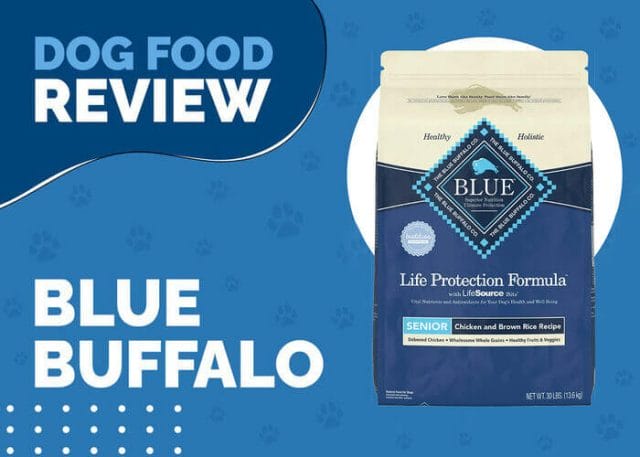 Nourish Your Senior Dog's Health with Blue Buffalo Life Protection Formula Senior Chicken and Brown Rice Recipe