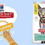 Tailored Nutrition for Mature Adult Cats – Hill’s Science Diet Mature Adult 11+ Chicken Recipe Dry Cat Food