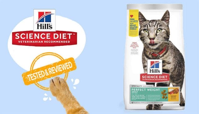 Helping Cats Achieve a Healthy Weight - Hill's Science Diet Adult Perfect Weight Chicken Recipe Dry Cat Food