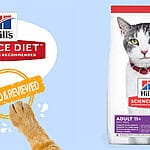 Helping Cats Achieve a Healthy Weight – Hill’s Science Diet Adult Perfect Weight Chicken Recipe Dry Cat Food