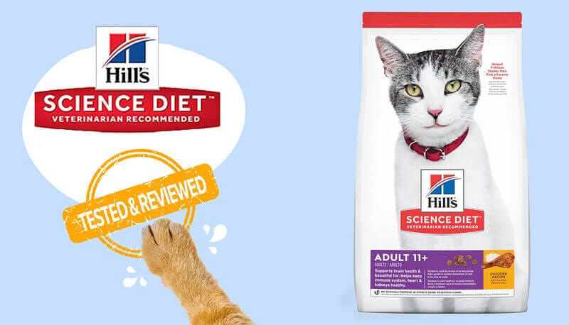 Tailored Nutrition for Mature Adult Cats - Hill's Science Diet Mature Adult 11+ Chicken Recipe Dry Cat Food