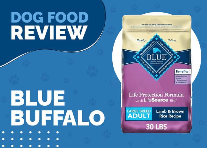 Blue Buffalo Life Protection Formula Adult Large Breed Lamb and Brown Rice Recipe Dry Dog Food - Nourishing Large Dogs with Sensitive Stomachs