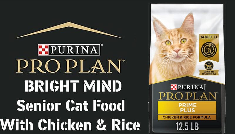 Nourish Your Senior Cat's Body and Mind with Purina Pro Plan Bright Mind Senior Cat Food
