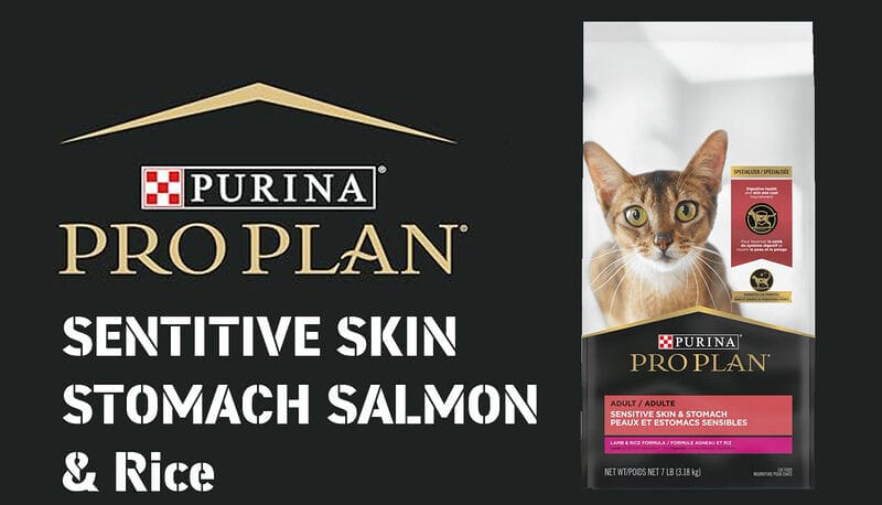 Pro Plan Focus Sensitive Skin and Stomach Salmon and Rice