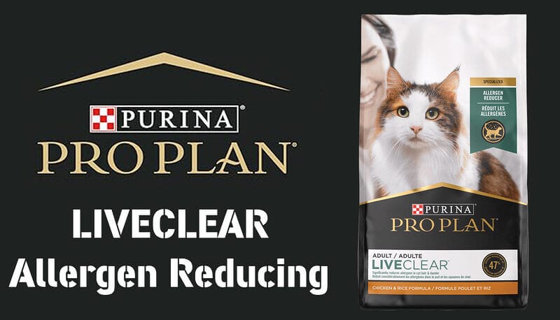 Give Cats Relief from Allergies with Purina Pro Plan LiveClear Allergen Reducing