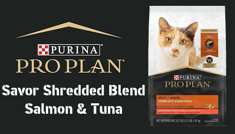 Purina Pro Plan Savor Shredded Blend Adult Cat Food – Salmon & Tuna: Irresistible Shreds for a Healthy, Happy Cat