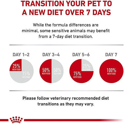 How to feed your Cat with Royal Canin Feline Care Nutrition Glycemic Control Dry