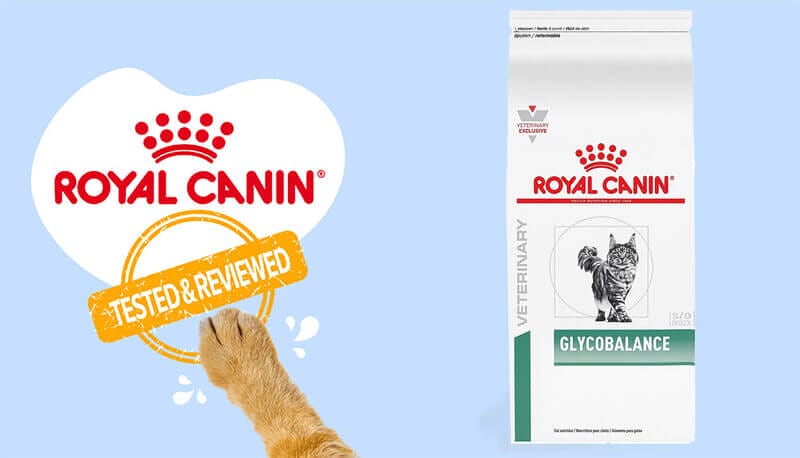 Optimal Nutrition for Royal Canin Feline Care Nutrition Glycemic Control Dry