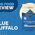 Discover the Pawfect Nutrition: Blue Buffalo Life Protection Formula Toy Breed Puppy Chicken and Oatmeal Recipe Dry Dog Food