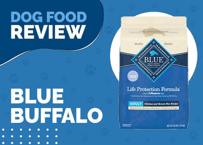 Blue Buffalo Life Protection Formula Adult Chicken and Brown Rice Dinner Wet Dog Food
