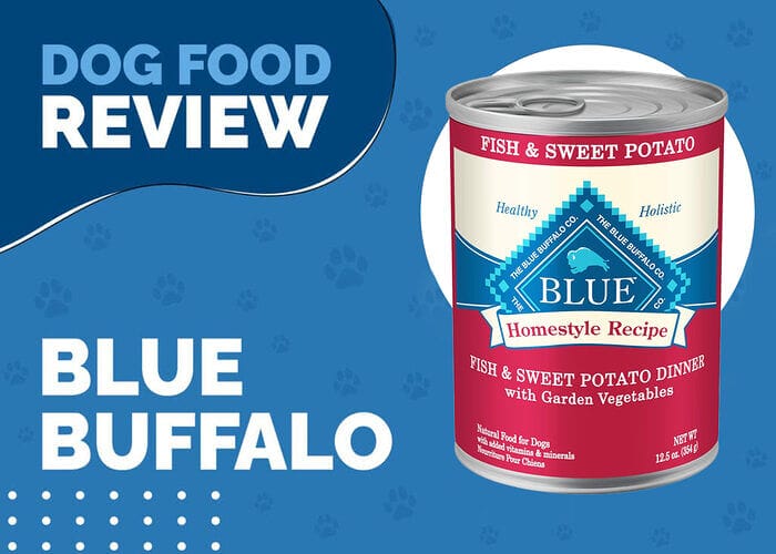 Blue Buffalo Life Protection Formula Adult Fish and Sweet Potato Dinner Wet Dog Food