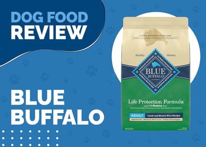 Blue Buffalo Life Protection Formula Adult Lamb and Brown Rice Dinner Wet Dog Food