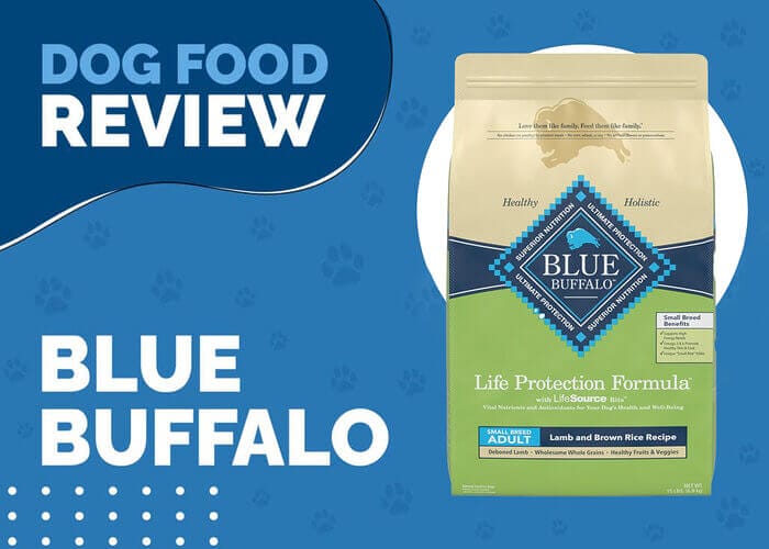 Blue Buffalo Life Protection Formula Adult Small Breed Chicken Dinner Wet Dog Food