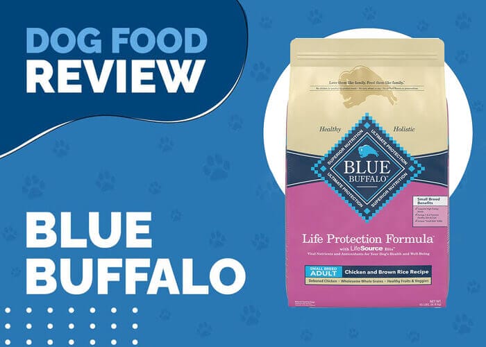 Blue Buffalo Life Protection Formula Adult Small Breed Chicken Dinner
