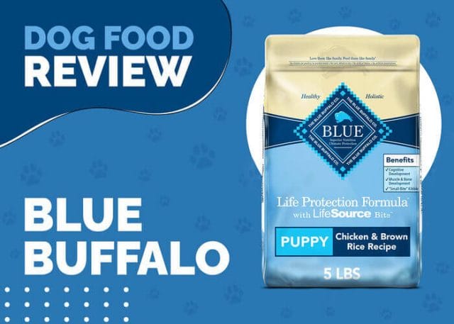 Blue Buffalo Life Protection Formula Puppy Chicken Dinner Wet Dog Food