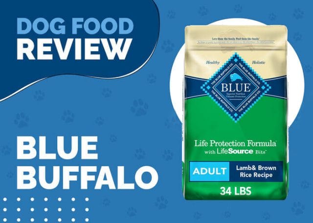 Blue Buffalo Life Protection Formula Puppy Lamb Dinner Wet Dog Food