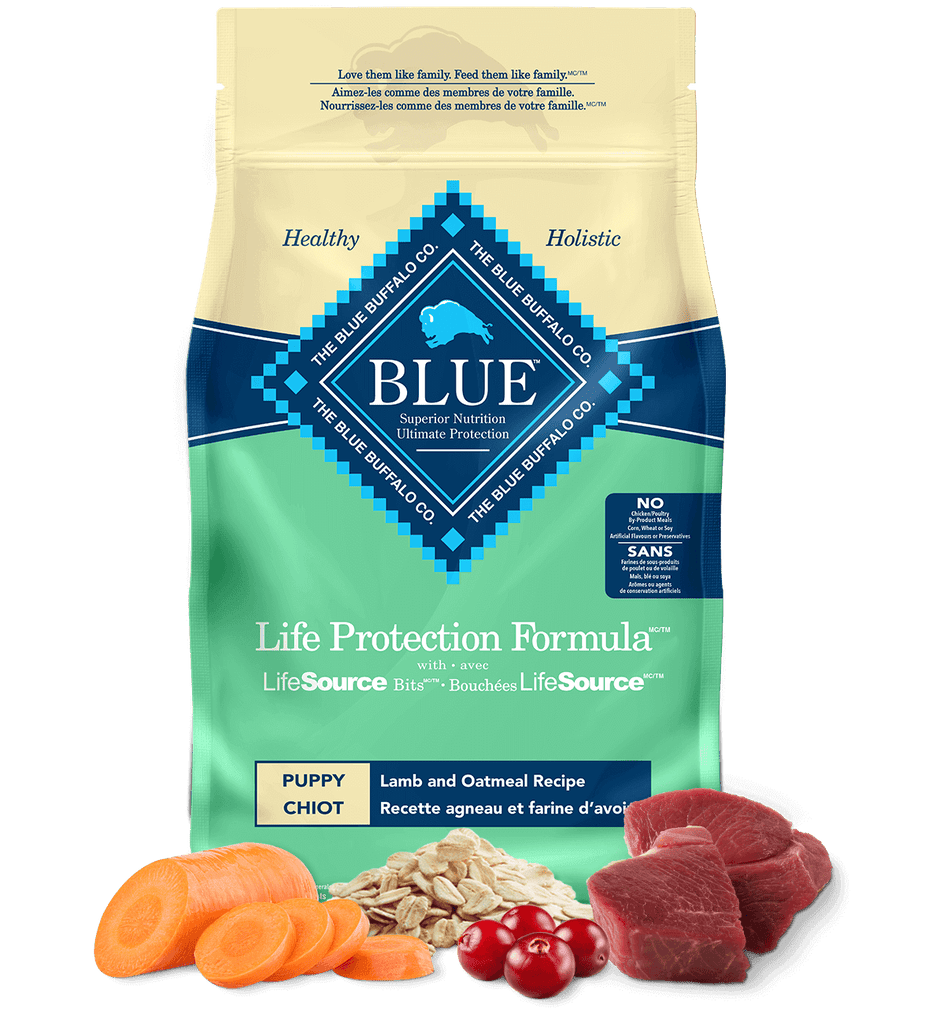 Where to Buy Blue Buffalo Life Protection Formula Puppy Lamb Dinner Wet Dog Food?