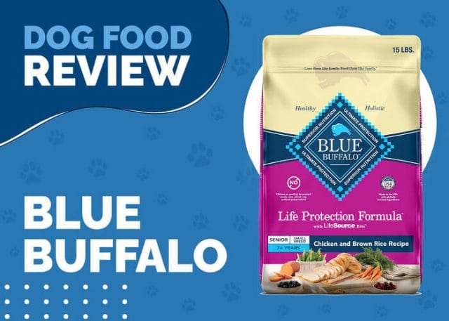 Blue Buffalo Life Protection Formula Senior Small Breed Chicken Dinner