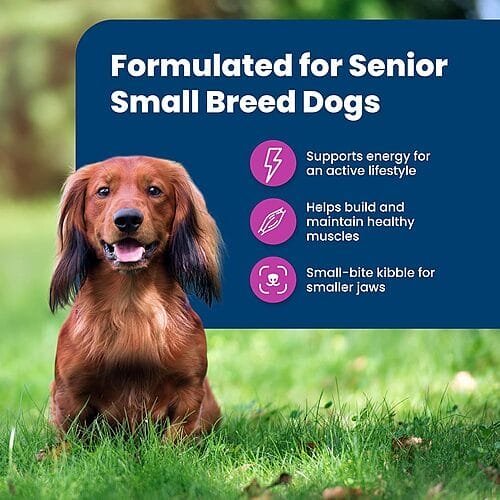How to Feed Your Dog with Blue Buffalo Life Protection Formula Senior Small Breed Chicken Dinner Wet Dog Food