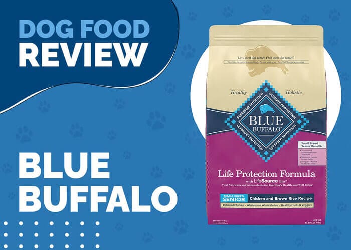Blue Buffalo Life Protection Formula Senior Small Breed Chicken and Brown Rice Recipe