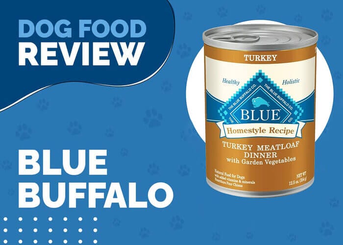 Blue Buffalo Life Protection Formula Senior Turkey Meatloaf