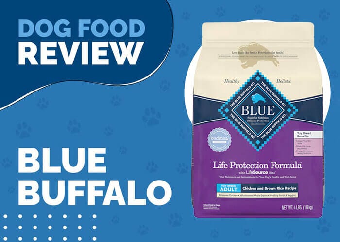 Tiny Bites, Big Nutrition: Blue Buffalo Life Protection Formula Toy Breed Adult Chicken and Brown Rice Recipe for Optimal Health