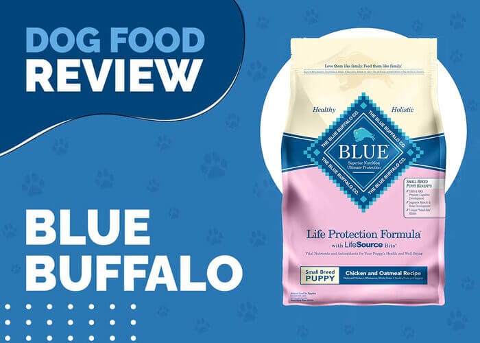 Blue Buffalo Life Protection Formula Toy Breed Puppy Chicken and Oatmeal Recipe Dry Dog Food