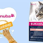 Nourish Your Feline’s Golden Years with Iams ProActive Health Mature Adult 7+ Chicken Dry Cat Food