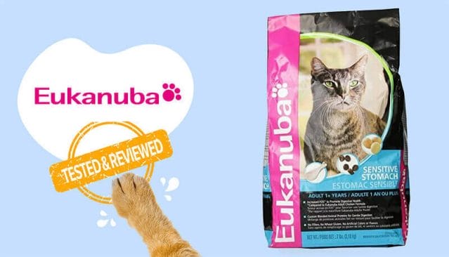 Eukanuba Sensitive Digestion Chicken Formula Dry Cat Food