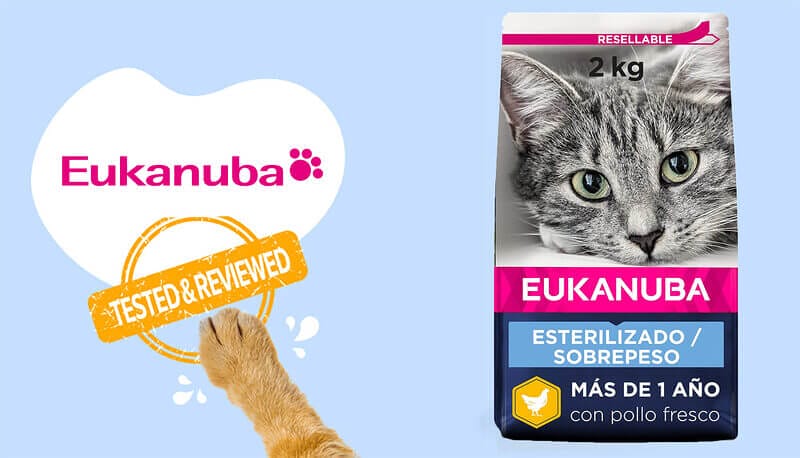 Eukanuba Weight Control Chicken Formula Dry Cat Food