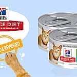 The Best Solution for Sensitive Stomachs: Hill’s Science Diet Adult Sensitive Stomach and Skin Chicken Recipe Cat Food