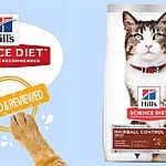 Give Your Kitten the Best Start with Hill’s Science Diet Kitten Chicken Recipe Dry Cat Food