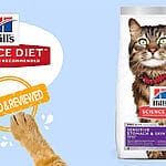 Nourish Your Senior Cat with Hill’s Science Diet Adult 7+ Stews