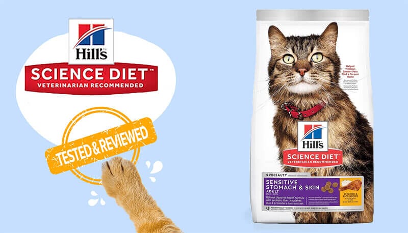 The Best Solution for Sensitive Stomachs: Hill's Science Diet Adult Sensitive Stomach and Skin Chicken Recipe Cat Food