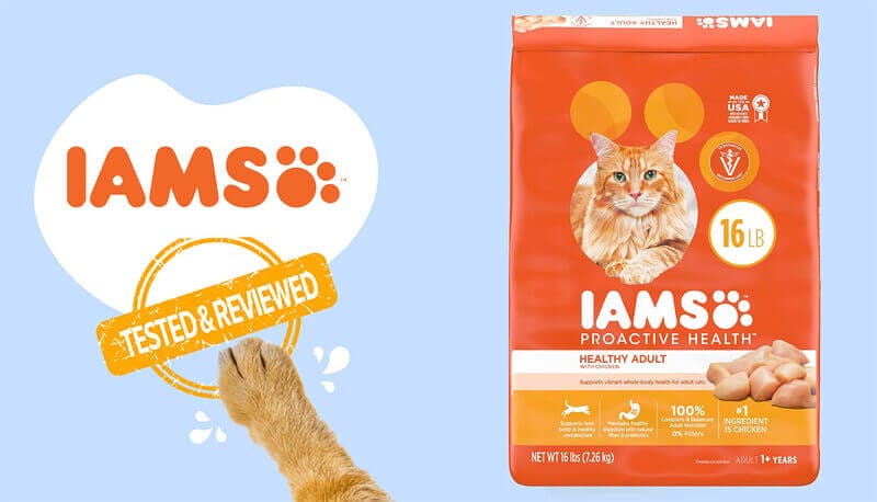 Unlock Your Cat's Vibrant Health with Iams ProActive Health Adult Chicken Dry Cat Food
