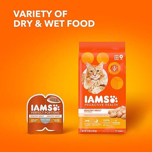 Where to Buy Iams ProActive Health Adult Chicken Dry Cat Food?