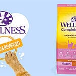 Nourish Your Cat’s Well-Being with Wellness Complete Health Adult Deboned Chicken, Brown Rice and Salmon Meal Recipe Dry Cat Food
