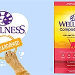 Nurturing Your Kitten’s Growth with Wellness Complete Health Kitten Deboned Chicken, Salmon Meal & Brown Rice Recipe Dry Cat Food