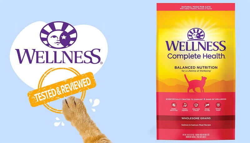 Nourish Your Cat's Well-Being with Wellness Complete Health Adult Deboned Chicken, Brown Rice and Salmon Meal Recipe Dry Cat Food
