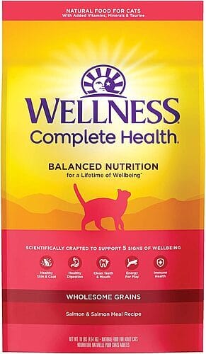 Introduction to Wellness Complete Health Adult Deboned Chicken, Brown Rice & Salmon Meal Recipe Dry Cat Food
