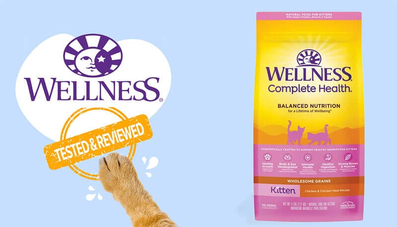 Wellness Complete Health Kitten Deboned Chicken, Salmon Meal & Brown Rice