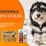 The Joy of Bernedoodle Adoption & Rescue: Your Guide to Finding Your Perfect Furry Friend