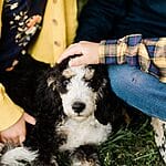 Unleash the Good Boy/Girl Within: The Ultimate Bernedoodle Training Guide