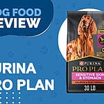 Blue Buffalo Life Protection Formula Senior Small Breed Chicken Dinner Wet Dog Food: A Review for Discerning Dog Owners
